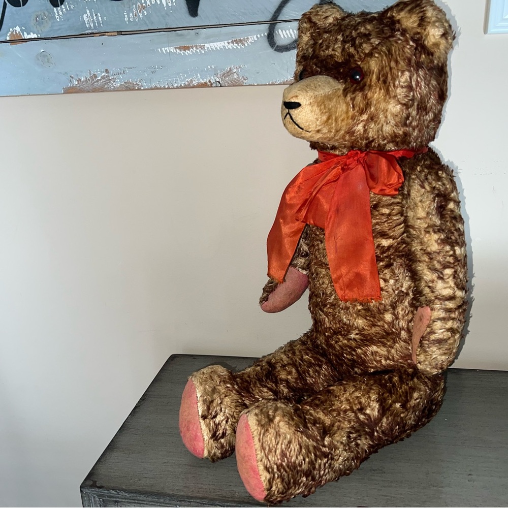 German Bear Soddy Daisy